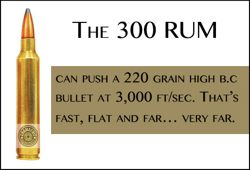 300 RUM