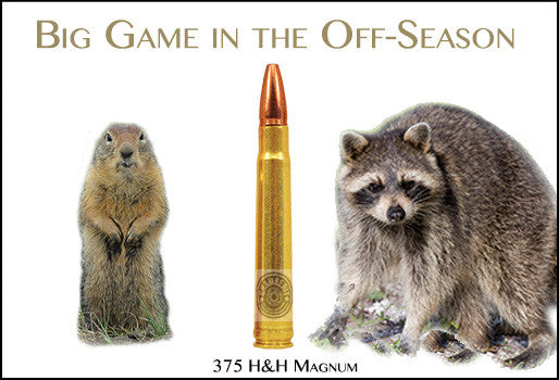 Big Game in the Off-Season